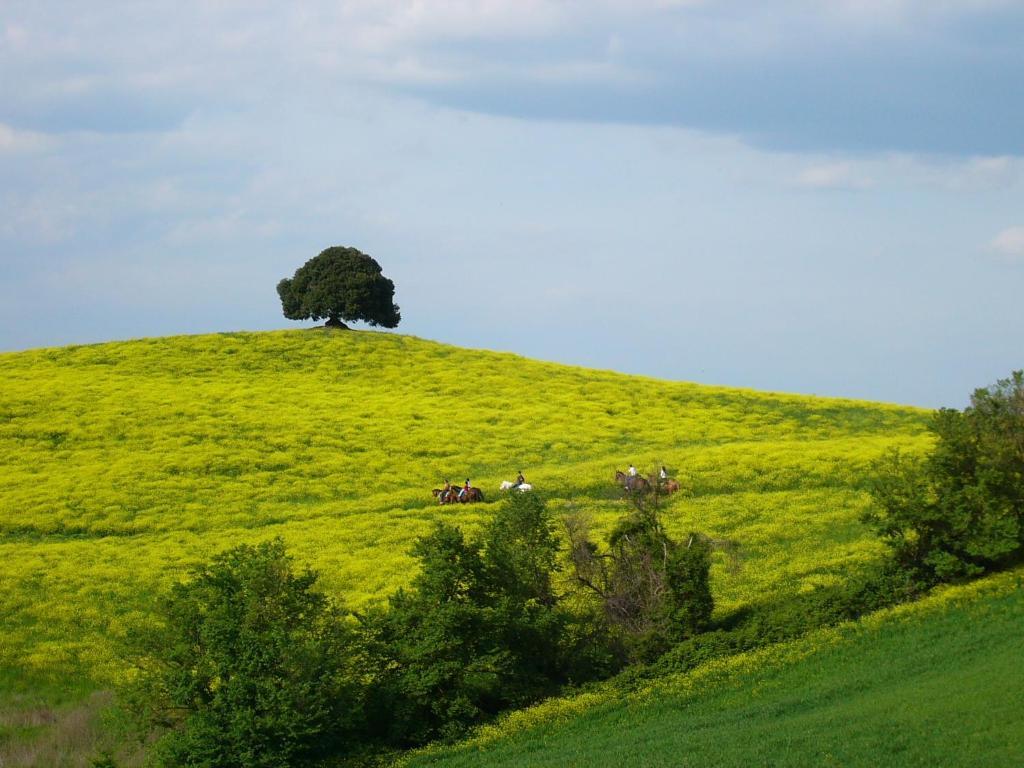 Fattoria Pieve A Salti Villa Buonconvento Exterior foto