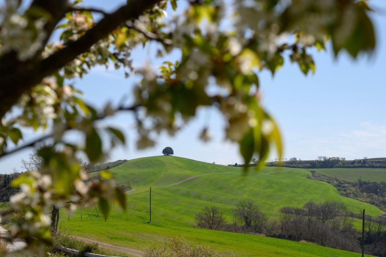 Fattoria Pieve A Salti Villa Buonconvento Exterior foto